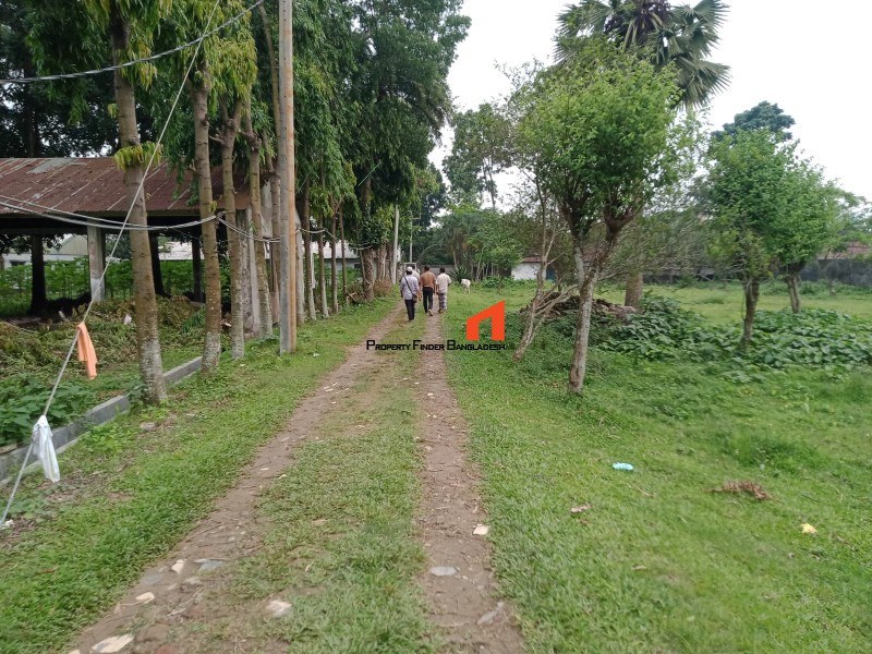 Image 1 Title