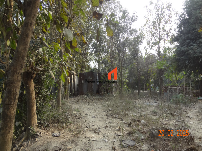 Image 1 Title