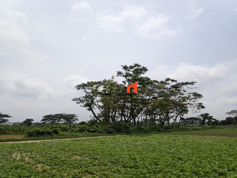 Image 1 Title