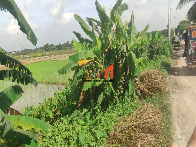 Image 1 Title