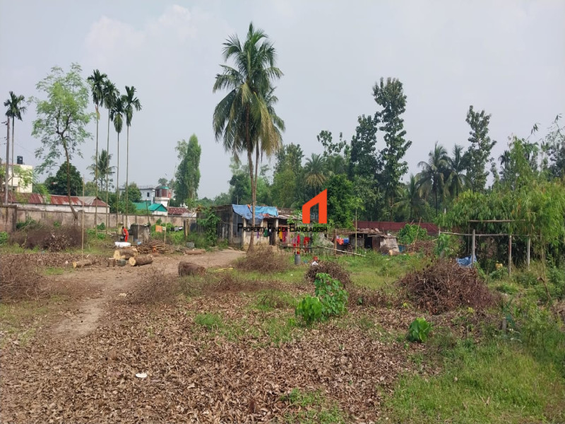 Image 1 Title
