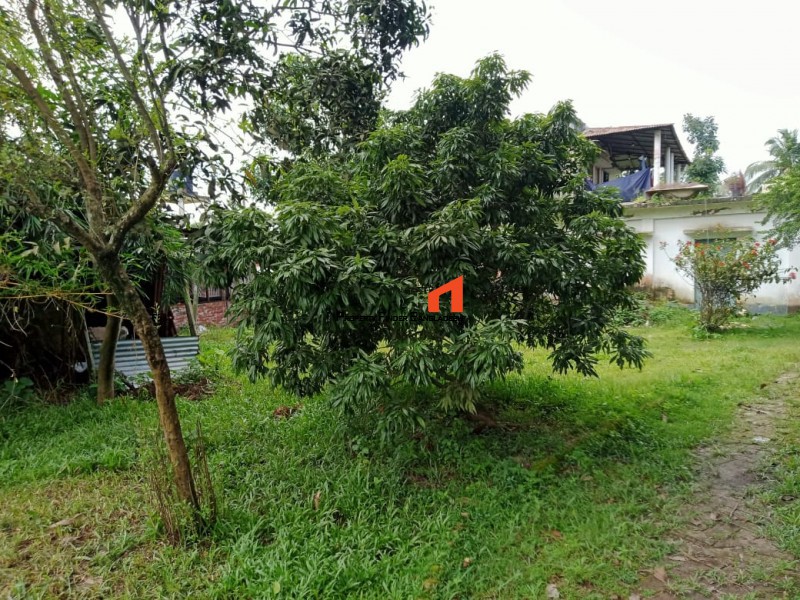 Image 1 Title
