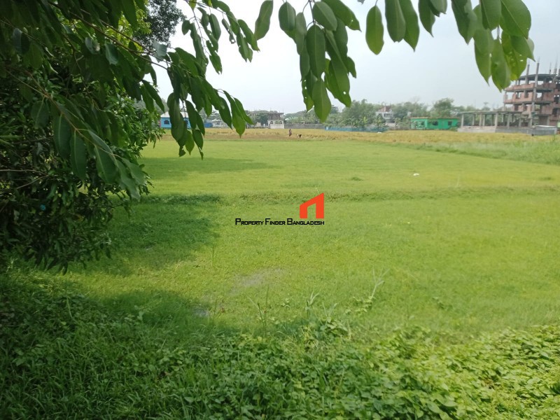 Image 1 Title