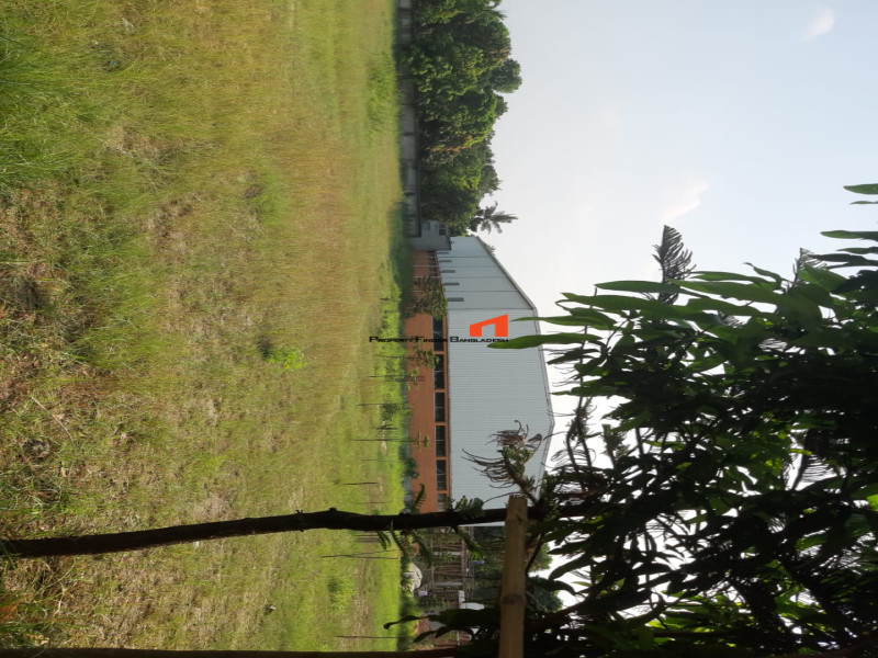 Image 1 Title