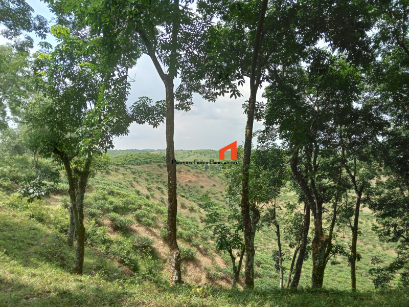 Image 1 Title