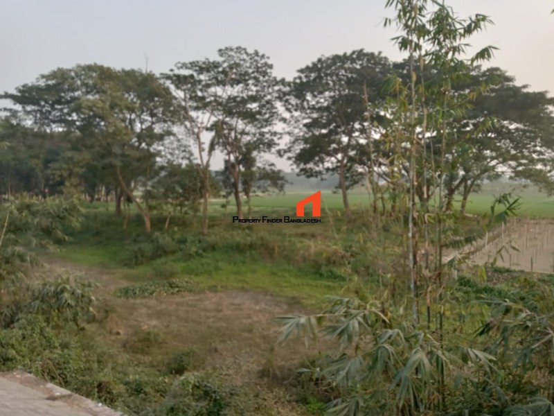 Image 1 Title