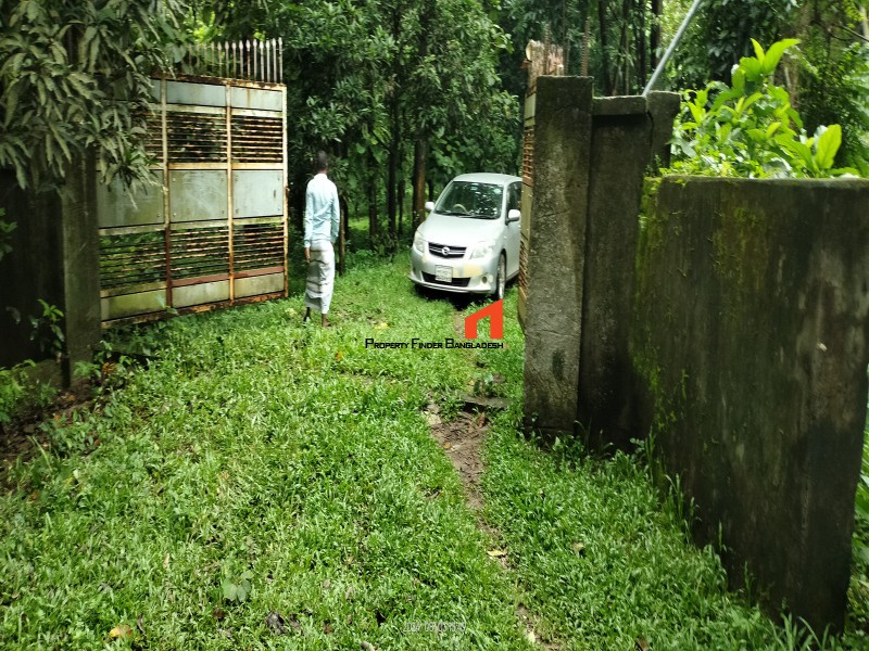 Image 1 Title