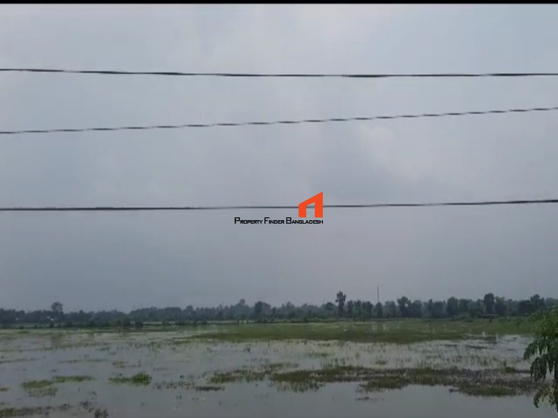Image 1 Title