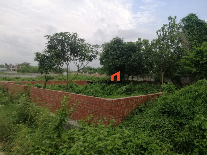 Image 1 Title