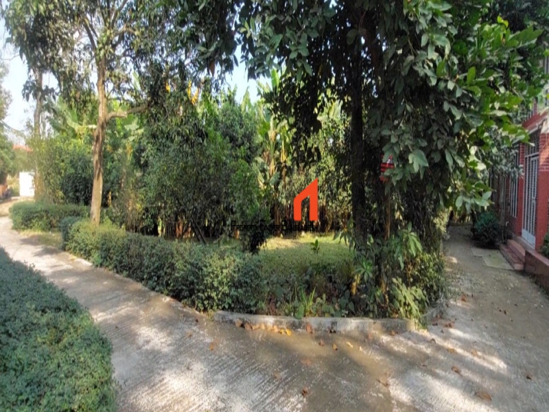 Image 1 Title
