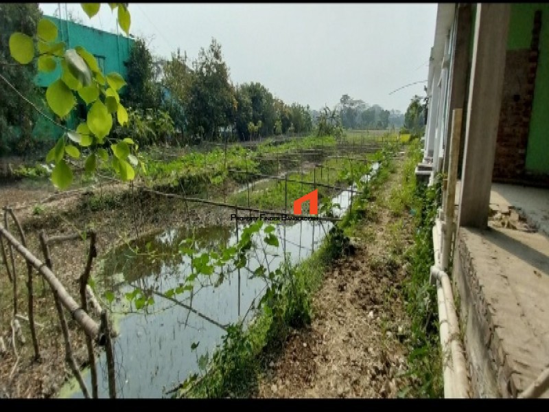 Image 1 Title
