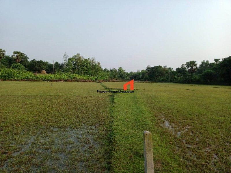 Image 1 Title