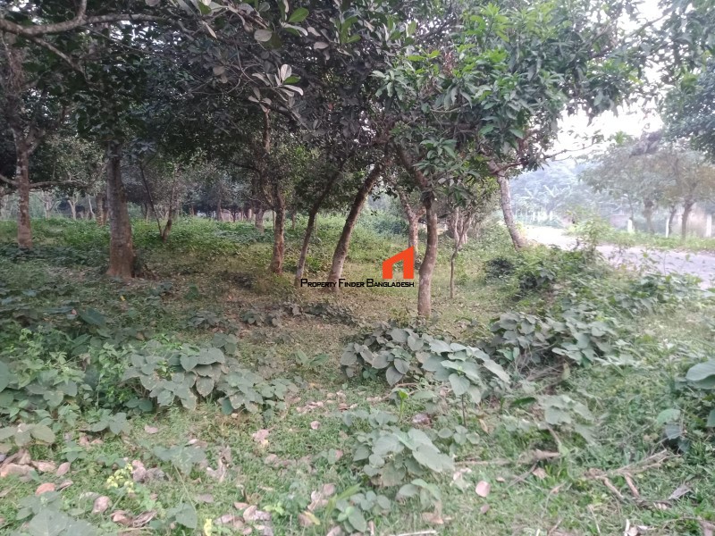 Image 1 Title