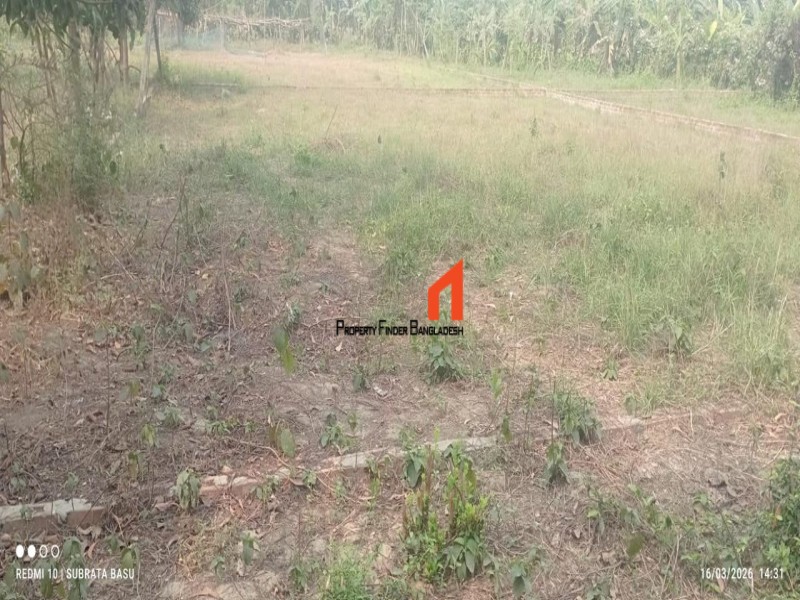 Image 1 Title