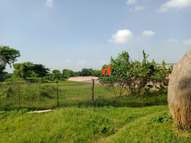 Image 1 Title
