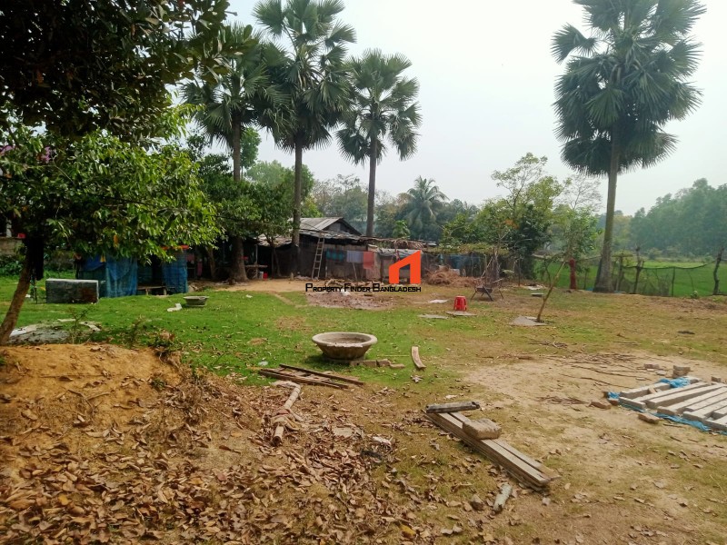 Image 1 Title