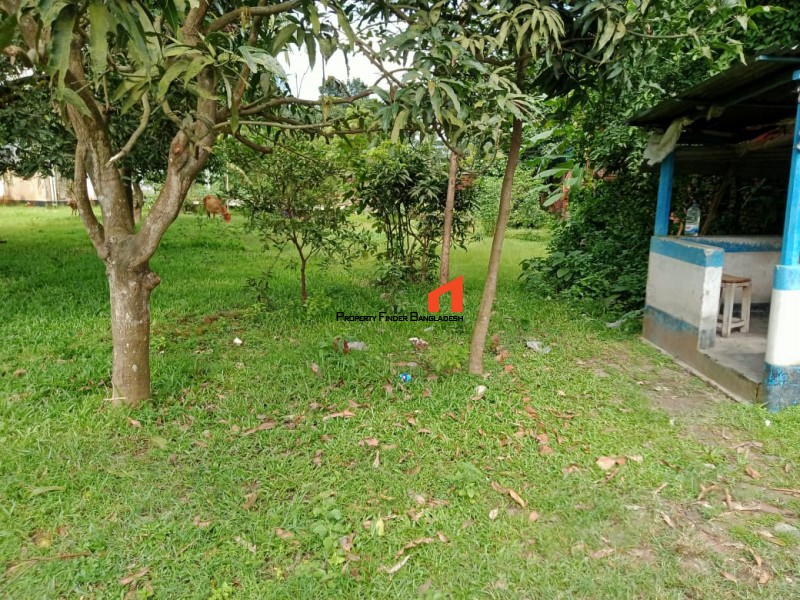 Image 1 Title