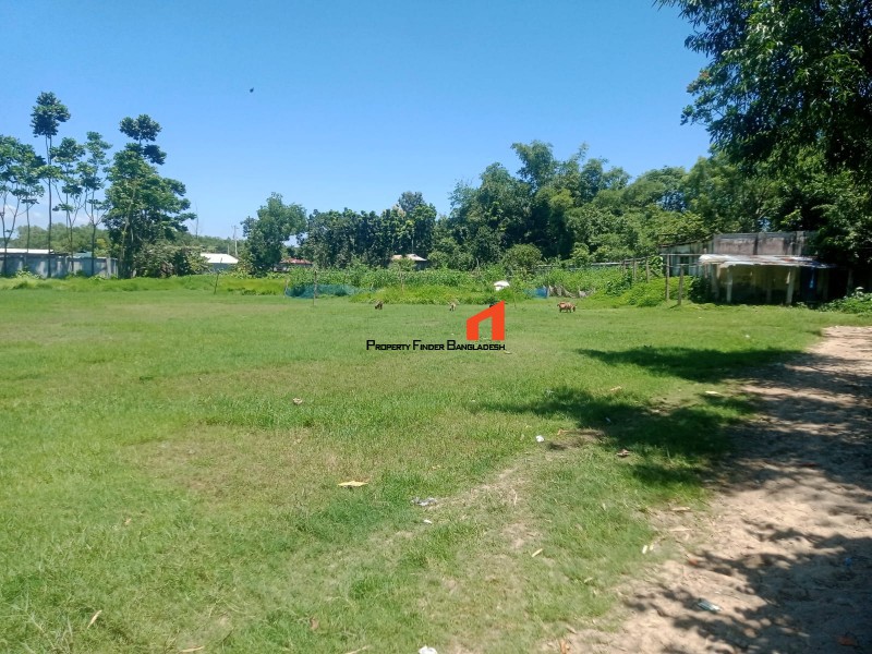 Image 1 Title
