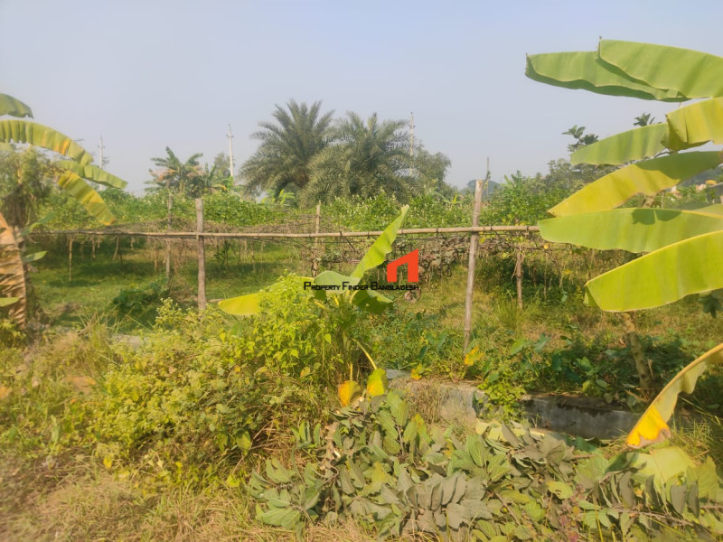 Image 1 Title