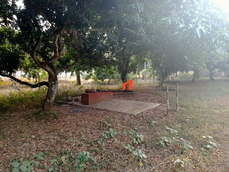 Image 1 Title