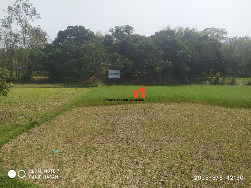 Image 1 Title